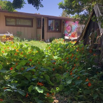 Blooming Womb - Tori's goddess garden - Childbirth Education Near Me Blooming Womb - Tori's goddess garden - Childbirth Education Near Me