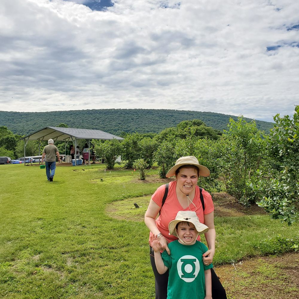 Frog Eye Farm - Beautiful mountains surrounding rows of of about 20 varieties of ripe blueberries. - Pick Your Own Farms Near Me - Knoxville, Maryland