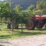 Photo of Cooperativa agricola Ca Magre