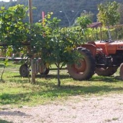 Cooperativa agricola Ca Magre