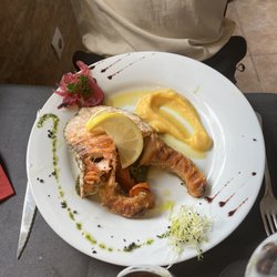 Metamorphosis - Salmon