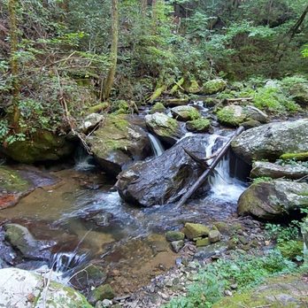 Anna Ruby Falls - Hiking Near Me - White, Georgia Anna Ruby Falls - Hiking Near Me - White, Georgia