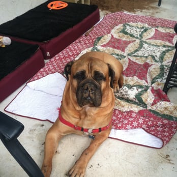 Nado Pet Care - Pet Sitting Near Me - Coronado, California Nado Pet Care - Pet Sitting Near Me - Coronado, California