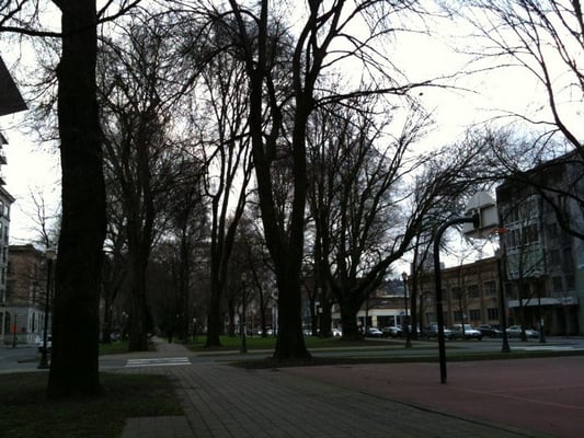 North Park Blocks by null