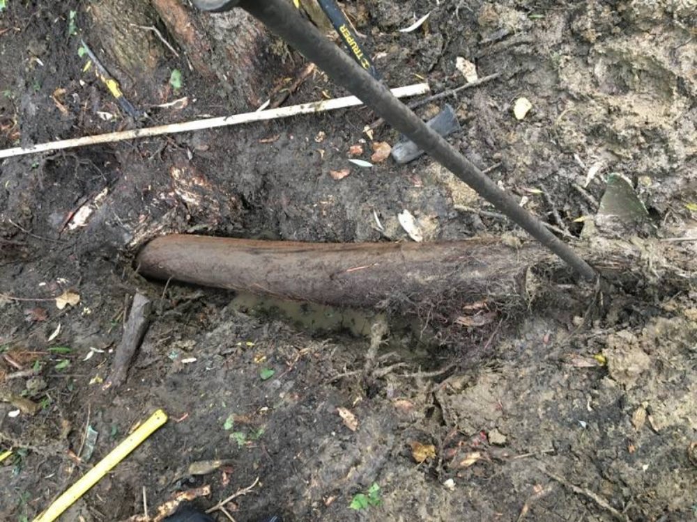 Slide of The Randyman