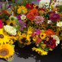 Photo of Balanced Harvest Farm