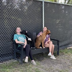 The Kennels at Gum Gully Giftly Email, Text or Print, 315 Gum