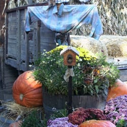 Avila Valley Barn - Fall decorations near the photo area