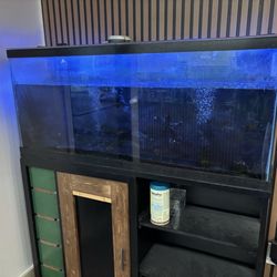 Sip N' Swirl - Fishtank