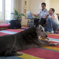 Calvin G Lum, DVM - BetterVet - Reviewing the dog's medical records, with the Owner, in his living room.