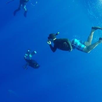 One Ocean Diving - Free Diving Near Me - Haleiwa, Hawaii