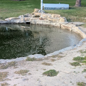 Willow Park - Filthy end of the pond - Parks Near Me - Cypress, California Willow Park - Filthy end of the pond - Parks Near Me - Cypress, California
