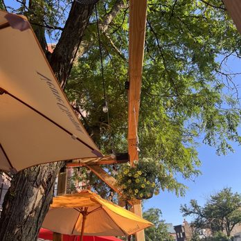 The VIG Chicago - Pretty outdoor seating! - American Near Me - Chicago, Illinois The VIG Chicago - Pretty outdoor seating! - American Near Me - Chicago, Illinois