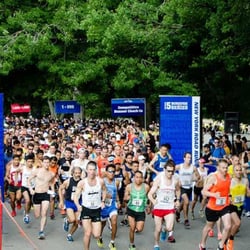 Queens 10K