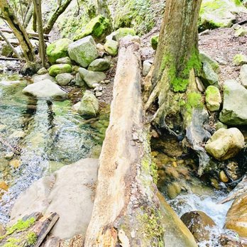 Uvas Canyon County Park - Parks Near Me - Morgan Hill, California