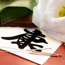 Dr. Lu's Acupuncture & Massage Clinic