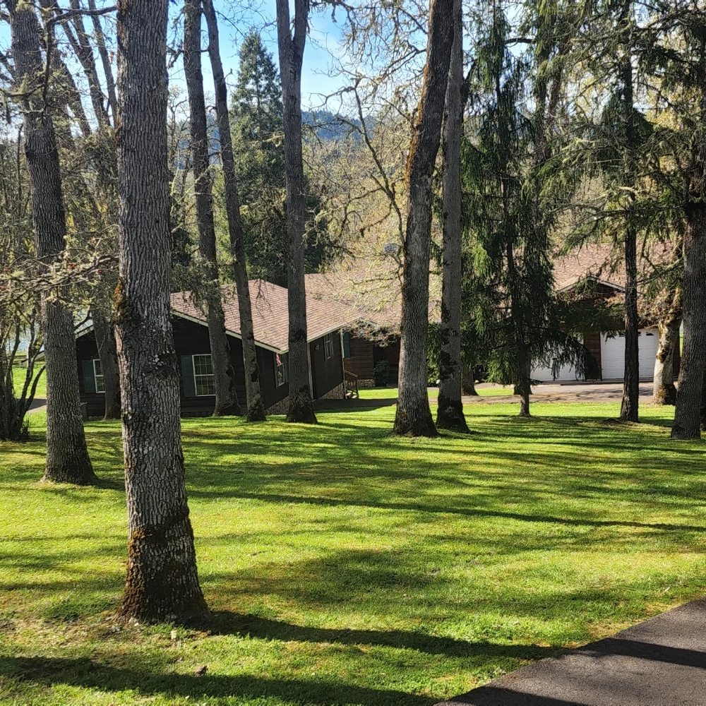 Roots Run Deep Landscaping - tree service in Roseburg, OR