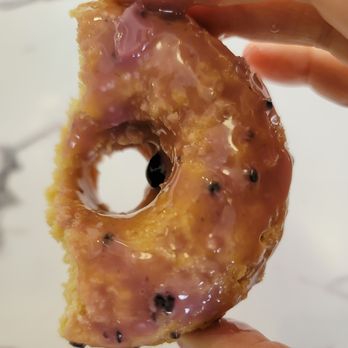 Parlor Doughnuts - Blueberry - Donuts Near Me - Clearwater Beach, Florida Parlor Doughnuts - Blueberry - Donuts Near Me - Clearwater Beach, Florida