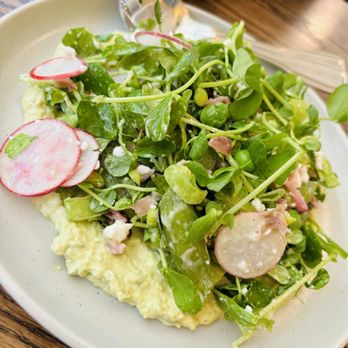Blossom and Root Kitchen - Vegan English Pea hummus, pea tendrils, snap peas, ramps, & lime vinaigrette - Vegan Near Me - Danville, California