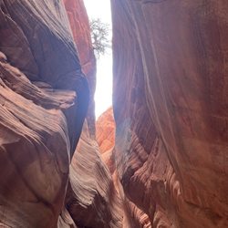 Peekabo Canyon