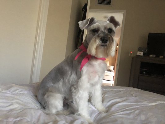 Brother & Sister Pet Shop Inc