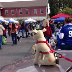 Pause Dog Boutique - Howl-o-ween