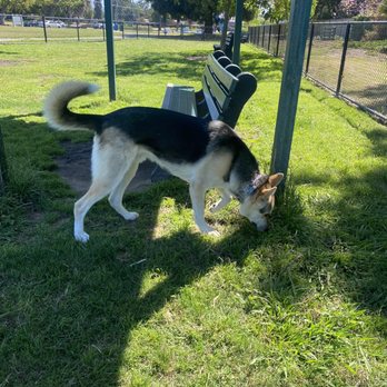 Eden Greenway Dog Park - Dog Parks Near Me - Hayward, California