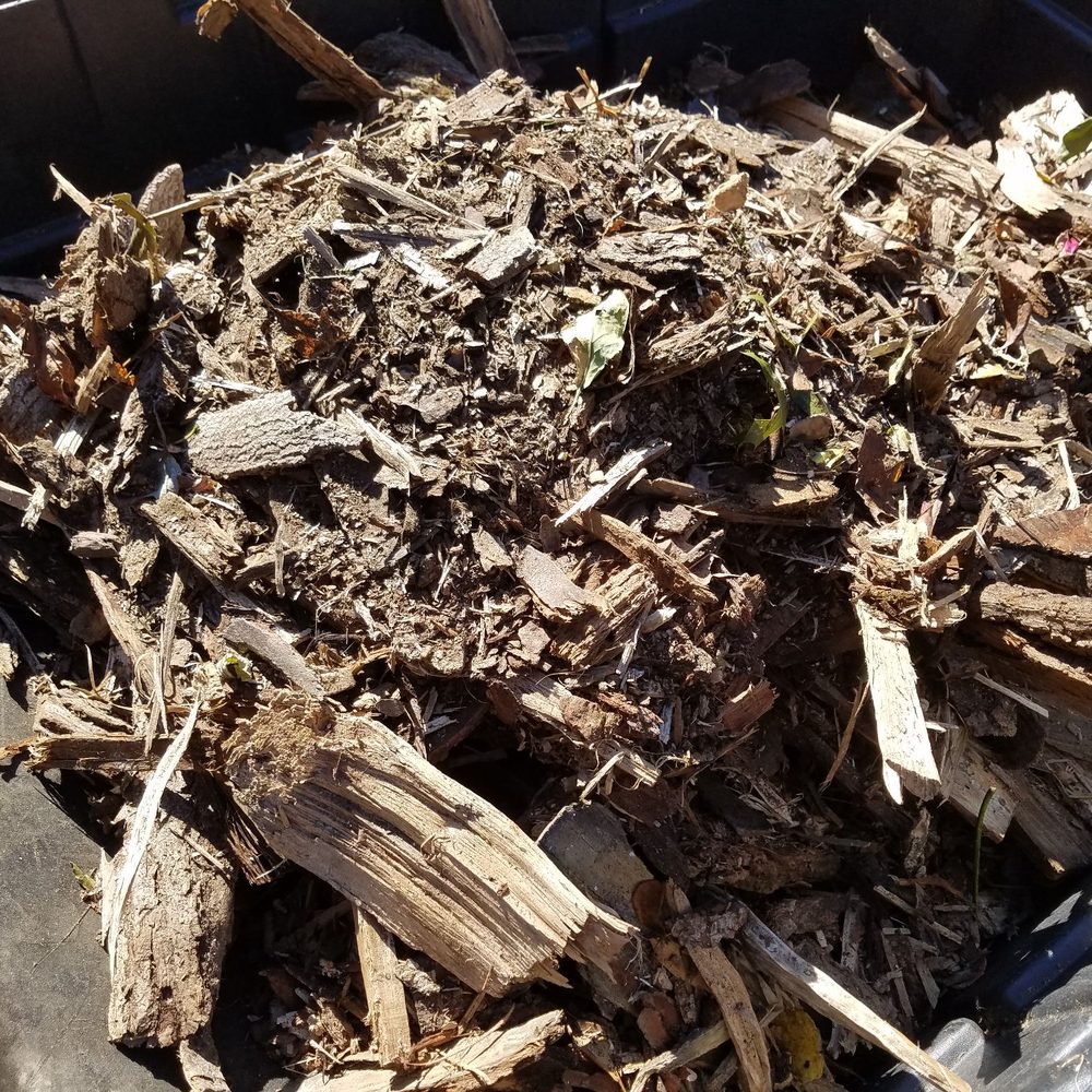 Timberwolf Tree Service - Two and a half carti of this rubbish was included the three cords terrible " fire wood " i - Tree Services Near Me - Hightstown, New Jersey Timberwolf Tree Service - Two and a half carti of this rubbish was included the three cords terrible " fire wood " i - Tree Services Near Me - Hightstown, New Jersey