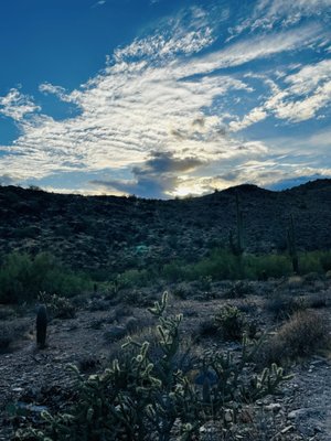 Lost Dog Wash Trailhead by null