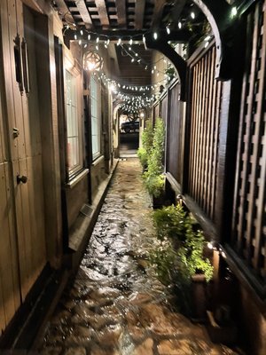 The Xocolatl Garden by null