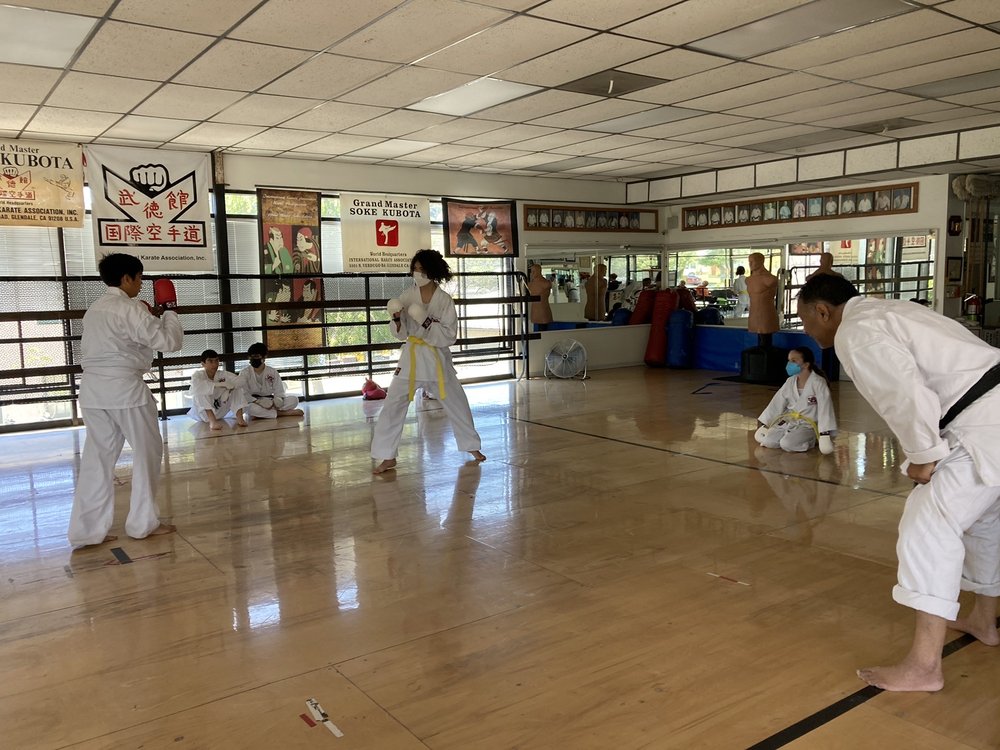 International Karate Association Logo