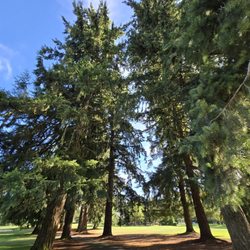 Royal Oaks Country Club