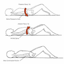 Healing Arts Pilates - Neutral spine/pelvis illustration