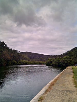 Ku-ring-gai Chase National Park by null
