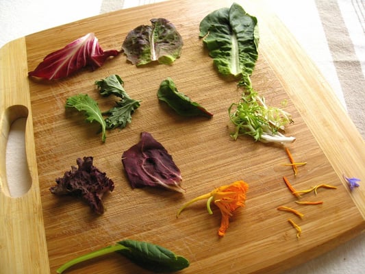 Noe Valley Farmers Market by null