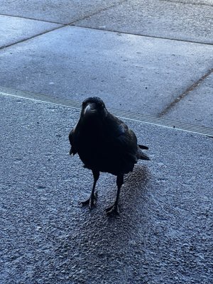 Old Faithful General Store by null