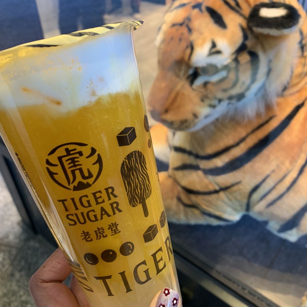 Tiger Sugar - Sago milk tea with the brave tiger - Bubble Tea Near Me - New York, New York Tiger Sugar - Sago milk tea with the brave tiger - Bubble Tea Near Me - New York, New York