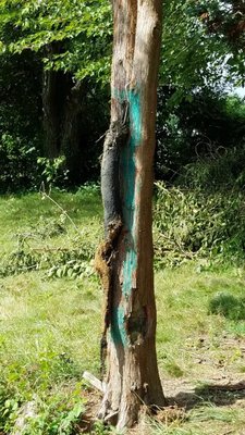 JFK Plumbing & Heating