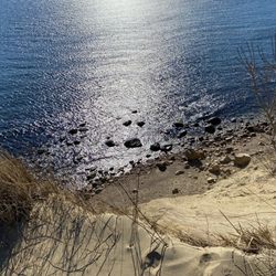 Rodman's Hollow- Block Island - Rodman's hollow