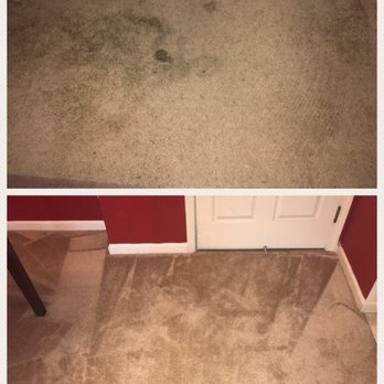 Fast Drying Carpet Cleaning - Deep carpet cleaning and pet odor removed. Thanks Hugo!! - Carpet Cleaning Near Me - San Jose, California Fast Drying Carpet Cleaning - Deep carpet cleaning and pet odor removed. Thanks Hugo!! - Carpet Cleaning Near Me - San Jose, California