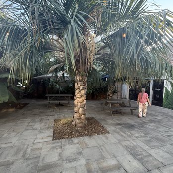 Ecology Beer Creative - Outside area - Brewpubs Near Me - New Orleans, Louisiana Ecology Beer Creative - Outside area - Brewpubs Near Me - New Orleans, Louisiana