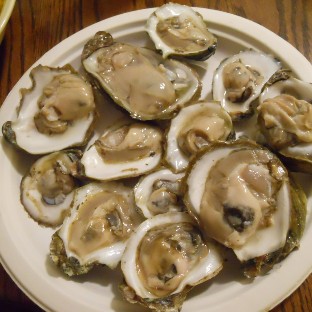 Fresh and tasty Florida Gulf coast oysters,  as good as they get!