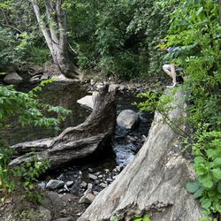 Newlin Grist Mill - Scenery is beautiful