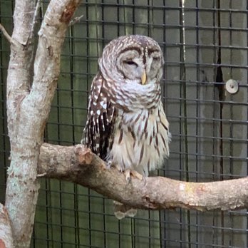 Brevard Zoo - Zoos Near Me - Melbourne, Florida Brevard Zoo - Zoos Near Me - Melbourne, Florida