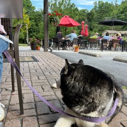 Zookeeper Bistro