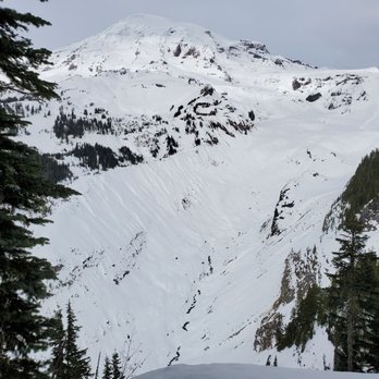 Evergreen Escapes - Mt. Rainier - Tours Near Me - Seattle, Washington Evergreen Escapes - Mt. Rainier - Tours Near Me - Seattle, Washington