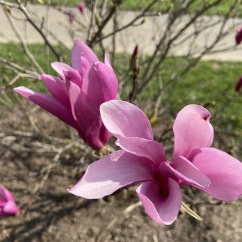 Province Park - Parks Near Me - Franklin, Indiana