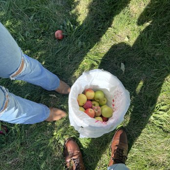 Tyler's Rocky Point Orchard - Pick Your Own Farms Near Me - Emmett, Idaho Tyler's Rocky Point Orchard - Pick Your Own Farms Near Me - Emmett, Idaho