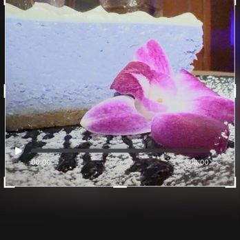 Red Shoe Island Bistro - Lavender cheesecake perfect way to dinner - Seafood Near Me - Key West, Florida Red Shoe Island Bistro - Lavender cheesecake perfect way to dinner - Seafood Near Me - Key West, Florida