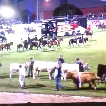 Royal Adelaide Show - Festivals Near Me - Wayville, SA Royal Adelaide Show - Festivals Near Me - Wayville, SA